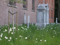 Sint-Bavokerk Vinderhoute kerkhof (1)